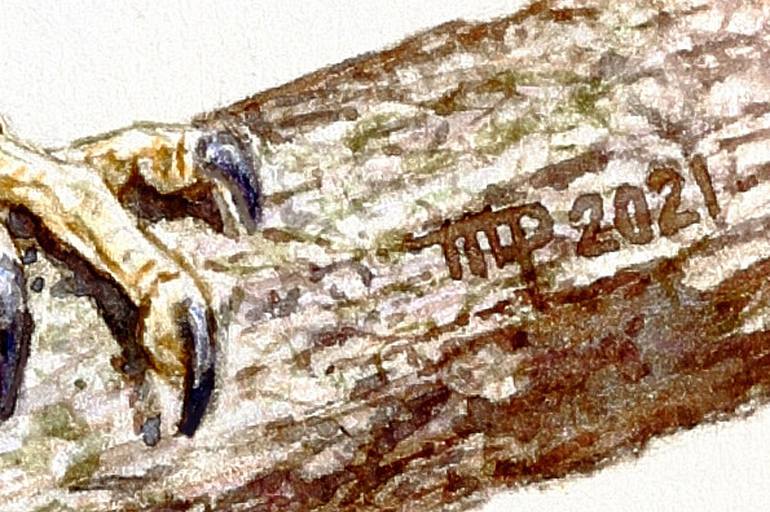 Original Figurative Animal Drawing by Marco Antonio Pineda Maldonado