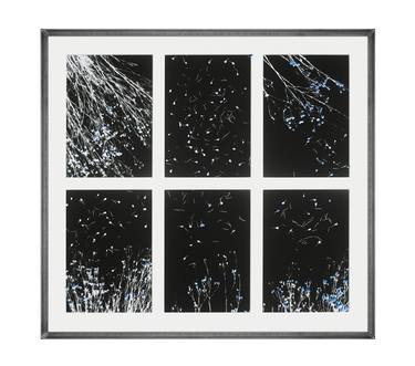 Bleuets - Photogram & painting | Limited Edition of 1 thumb