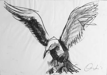 Print of Expressionism Animal Drawings by Djurdja Milatovic