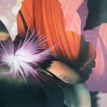 Collection 2026 Design Trends: Lived-In Look