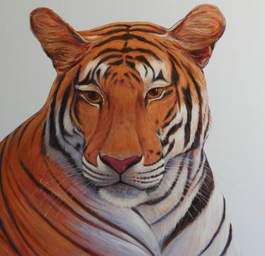 Original Animal Paintings by Claudio Ciardi