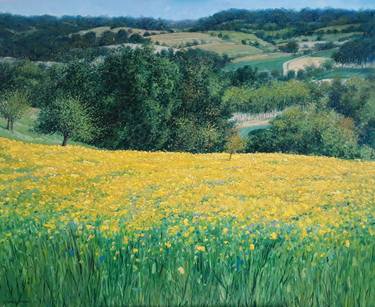 Rapeseed field in Tuscany thumb