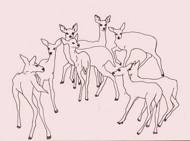 Original Animal Drawings by Rhian W