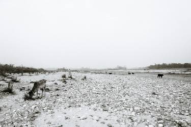 Shepherd [Indian Diary Book serie] - high quality paper print Limited of 5 - Limited Edition of 5 thumb