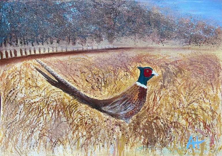 Pheasant Painting by Alicia Hentall