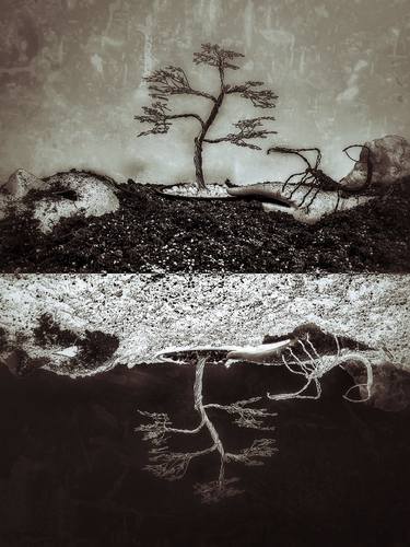 Print of Surrealism Mortality Photography by Tasos Letkas