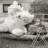 Hello kitty by Michael Nel