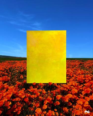 Original Abstract Landscape Photography by Monica Griffin