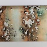 Collection "Letting Go" studies
