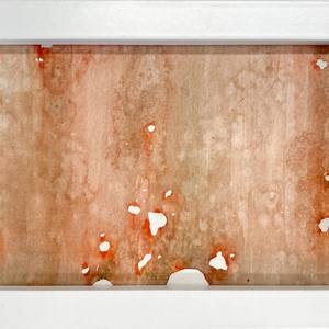Collection "Letting Go" studies