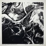Collection Digital Cocoon Prints