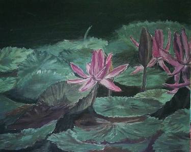 Water lilies thumb