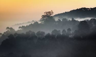 Burmese Sunrise #2 thumb