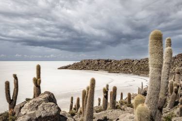 Cactus Island, Salar de Uyuni, Bolivia - Limited Edition of 25 thumb