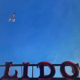 Lido and Gull by Andrew Morris