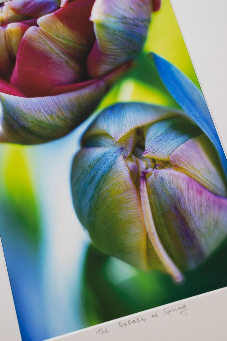 Original Impressionism Floral Photography by Inna Etuvgi