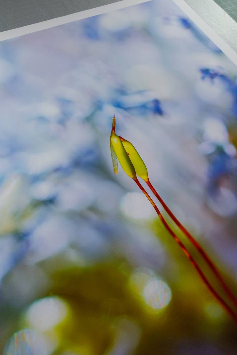 Original Impressionism Nature Photography by Inna Etuvgi