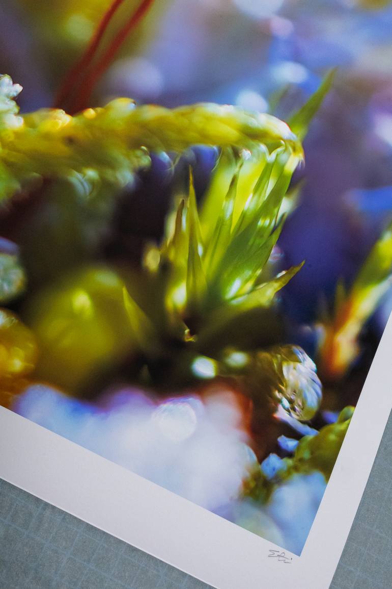 Original Impressionism Nature Photography by Inna Etuvgi