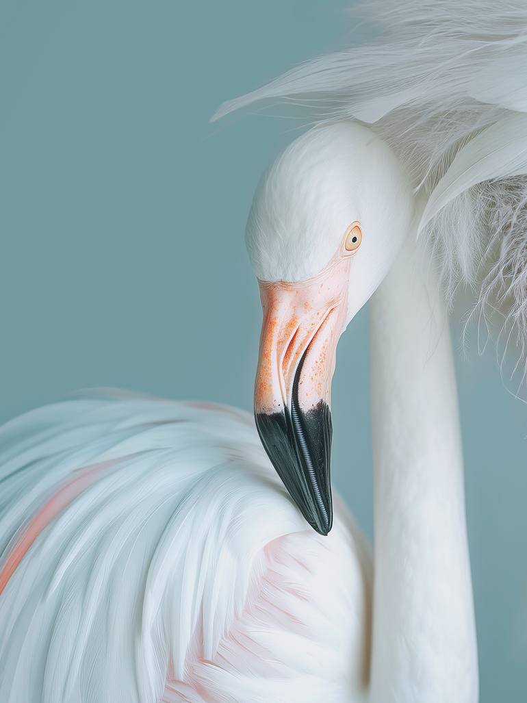 Original Contemporary People Photography by Inna Etuvgi