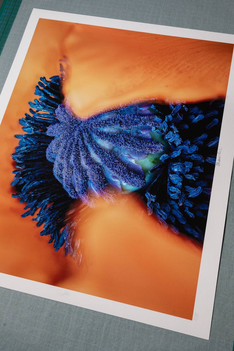 Original Contemporary Botanic Photography by Inna Etuvgi