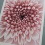 Pink Vortex of Bloom - art photo print