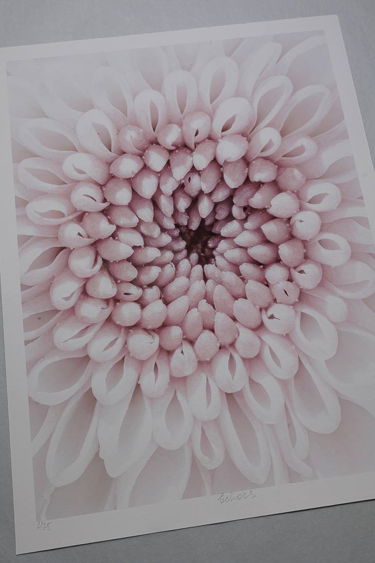 Original Impressionism Botanic Photography by Inna Etuvgi