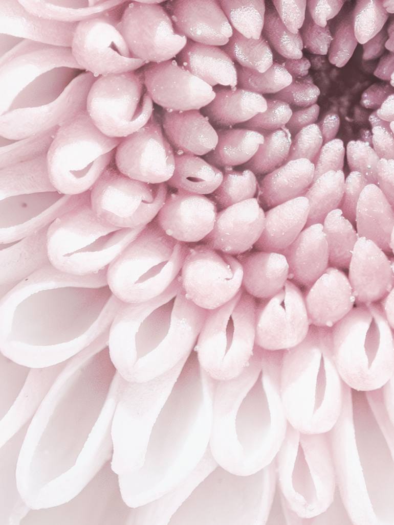 Original Impressionism Botanic Photography by Inna Etuvgi