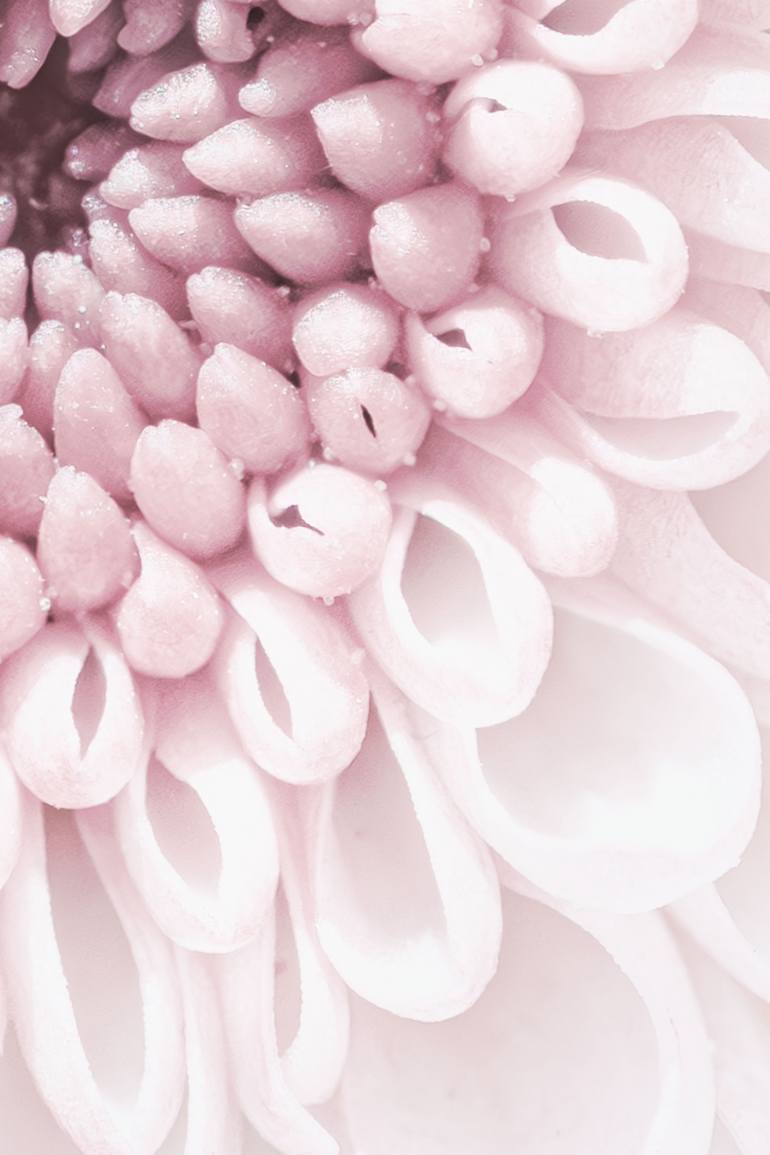 Original Impressionism Botanic Photography by Inna Etuvgi