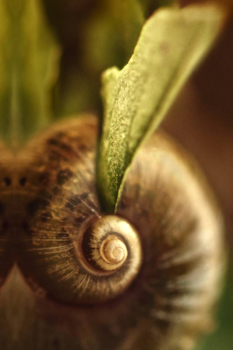 Original Conceptual Abstract Photography by Inna Etuvgi