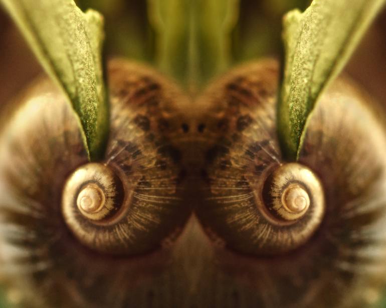 Original Conceptual Abstract Photography by Inna Etuvgi