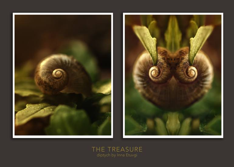 Original Abstract Nature Photography by Inna Etuvgi