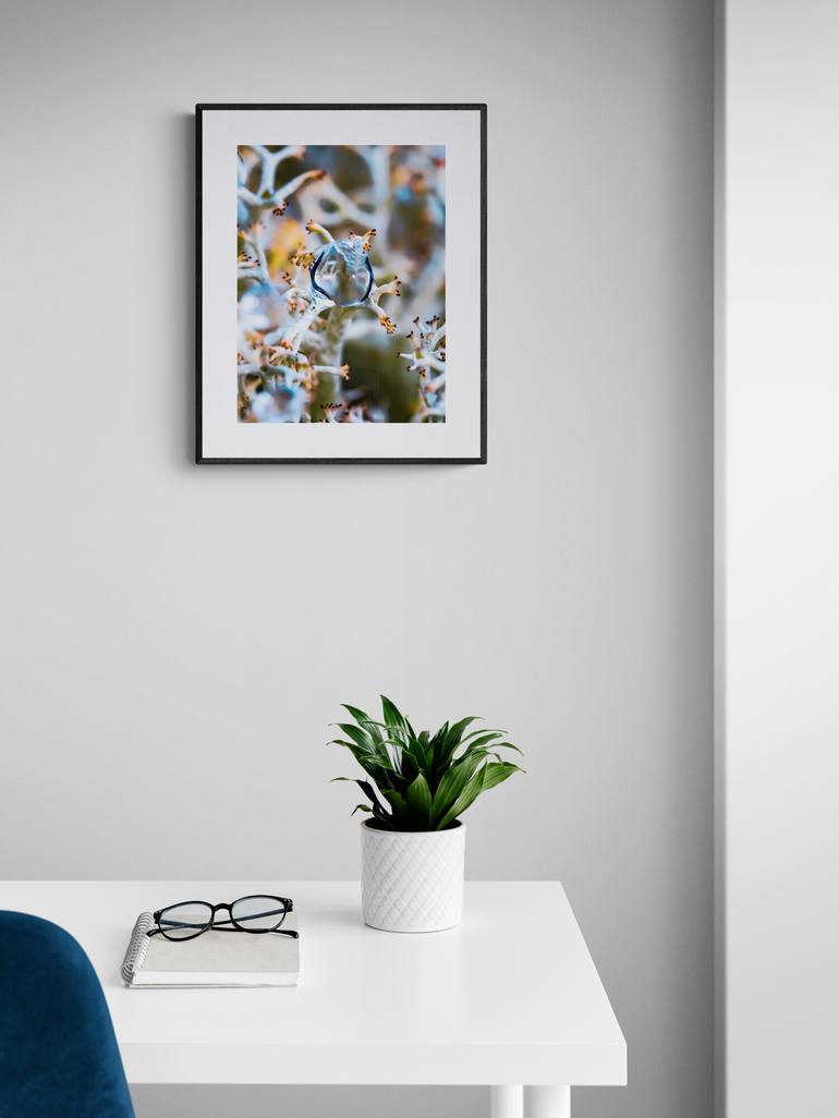 Original Photorealism Abstract Photography by Inna Etuvgi