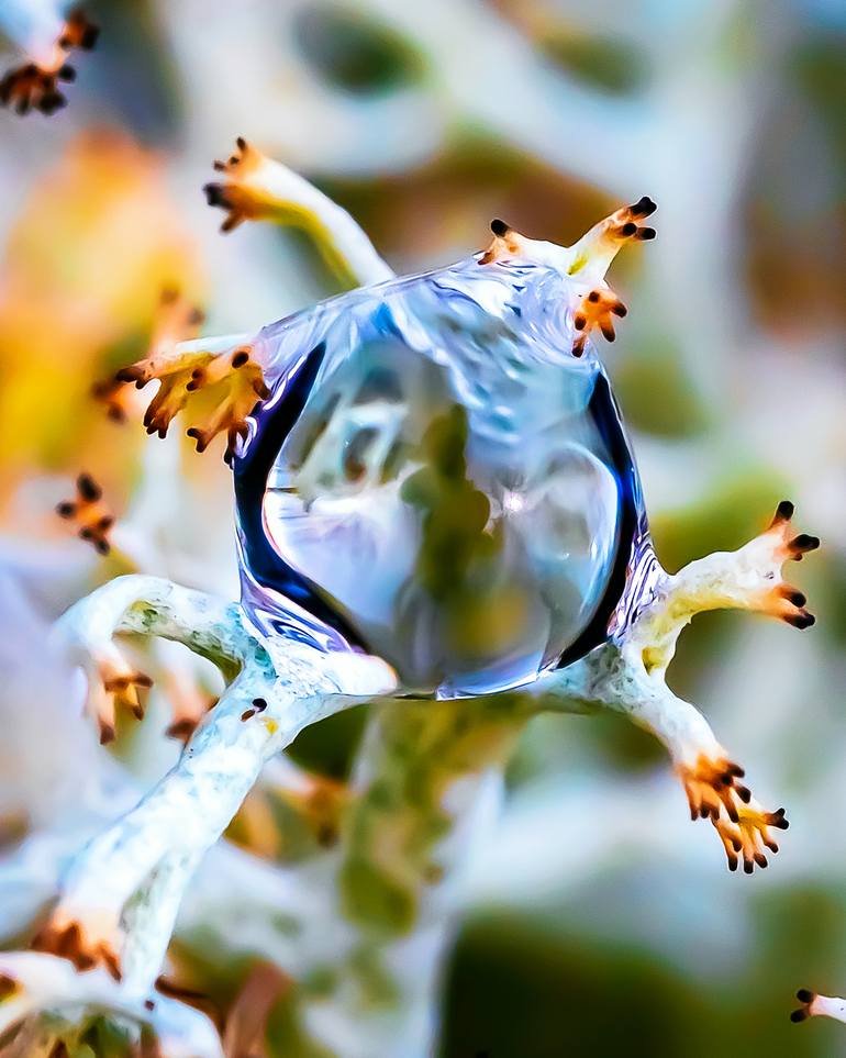 Original Photorealism Abstract Photography by Inna Etuvgi