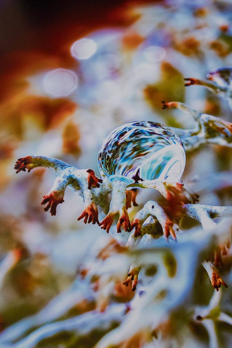 Original Abstract Nature Photography by Inna Etuvgi