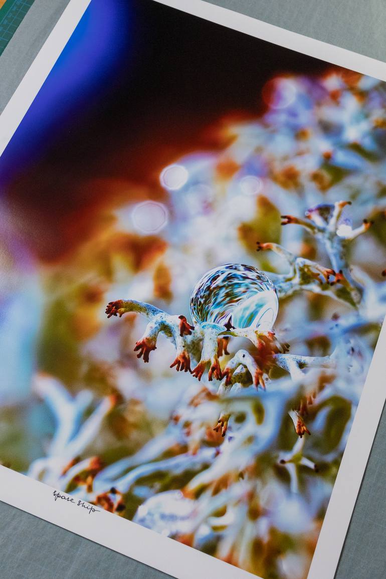 Original Abstract Nature Photography by Inna Etuvgi
