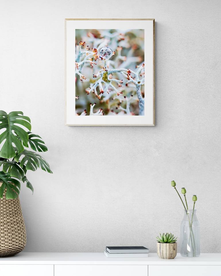 Original Surrealism Nature Photography by Inna Etuvgi