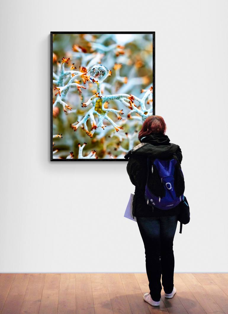 Original Surrealism Nature Photography by Inna Etuvgi