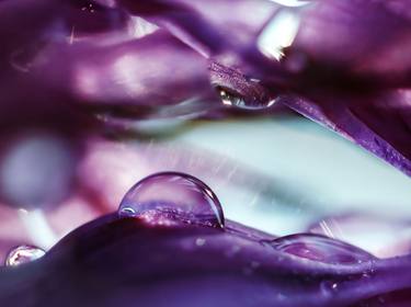 Onion planet dreamy landscapes - a macro photo of raindrops thumb