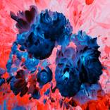 Blue rose by Lidia Bеlyasin