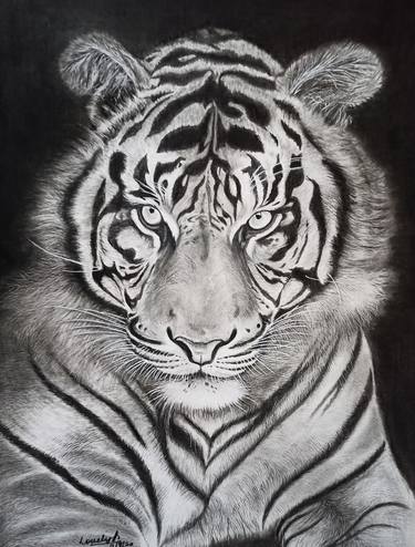 Original Animal Drawings by Lovely Menachery