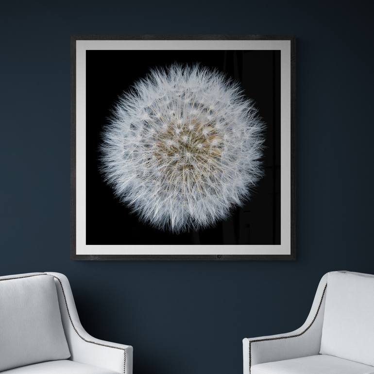 Original Contemporary Floral Photography by Steve Gallagher