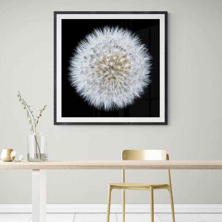 Original Contemporary Floral Photography by Steve Gallagher