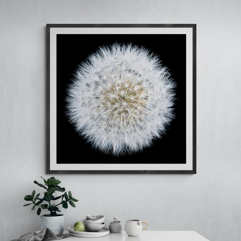 Original Contemporary Floral Photography by Steve Gallagher