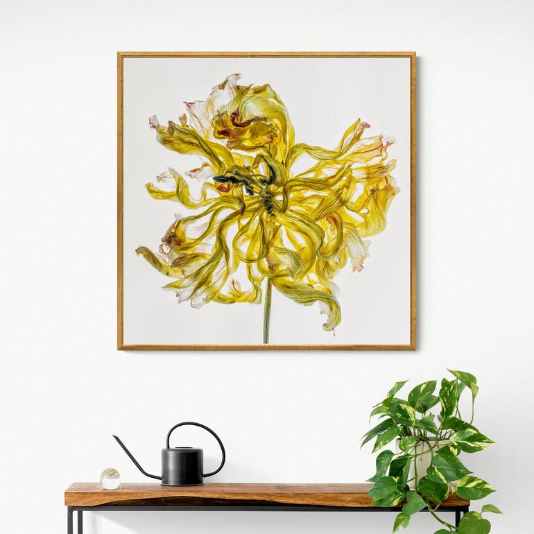 Original Realism Floral Photography by Steve Gallagher
