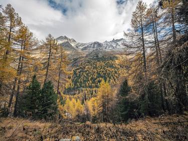 Print of Documentary Landscape Photography by neil maccormack