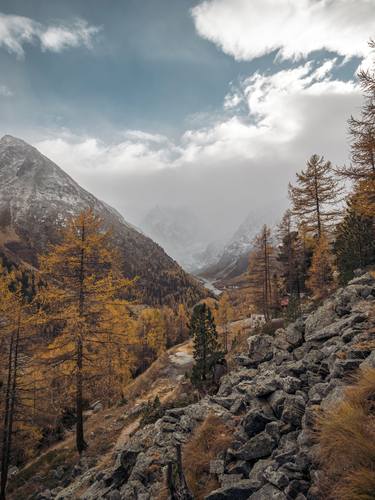 Print of Realism Landscape Photography by neil maccormack