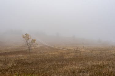 Print of Places Photography by Robert Randall