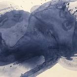 Collection SERENDIPITY