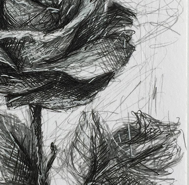 Original Expressionism Floral Drawing by Hubert Schneebeli