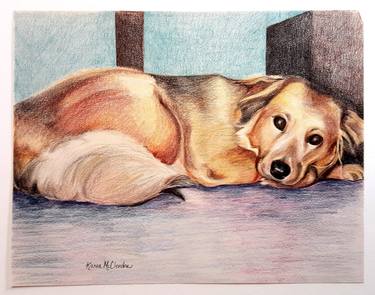 Original Illustration Dogs Drawings by Karen McClendon